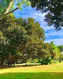 Balboa Park, South Park
